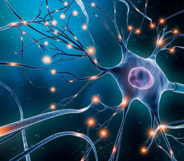 Онкологическая нейробиология дает новое представление о природе рака