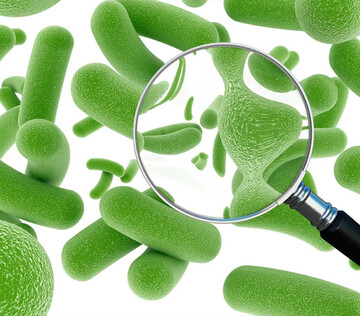 FDA предупредило об рисках назначения пробиотиков недоношенным детям