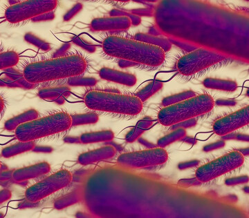 Прием лекарств влияет на микробиом кишечника на протяжении многих лет