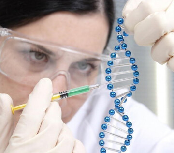 Точечный метод редактирования генов помог излечить генетические заболевания сердца