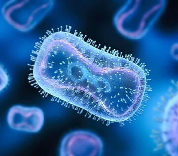 Разработка томских ученых поможет в лечении оспы