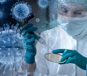 В России обнаружили 60 новых вирусов