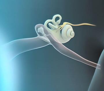 Российские ученые восстановили барабанную перепонку из клеток пациента