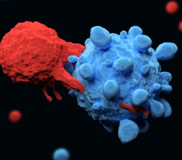 Вакцина из наночастиц предотвратила нескольких видов рака и останавила метастазирование у мышей