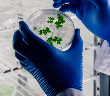 Терапия оксидом азота показала высокую эффективность против устойчивых бактерий