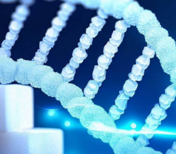Химическое вещество, обнаруженное в популярном подсластителе, разрушает ДНК