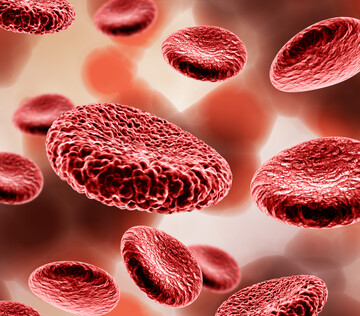 Китайские ученые создали прототип препарата от хронического лейкоза