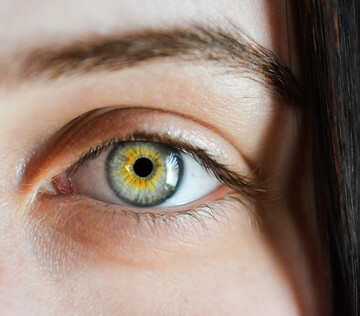 Кибер-имплант вернул зрение пациентам с возрастной дегенерацией сетчатки