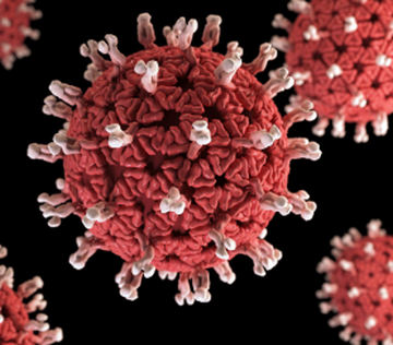 Изучение рисков внекишечных осложнений, связанных с ротавирусом, у госпитализированных детей в возрасте до 5 лет
