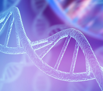 Исследование выявило общую генетическую основу эндометриоза с другими заболеваниями