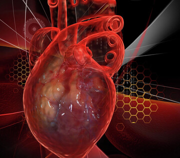 Разработанная в России математическая модель увеличит точность диагностики болезней сердца