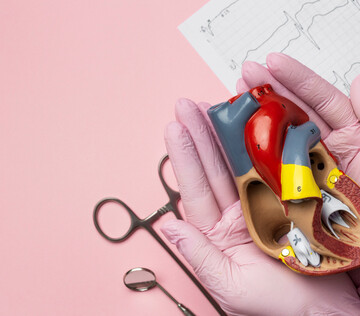 Петербургские врачи первыми в РФ провели трансплантацию двух искусственных желудочков сердца