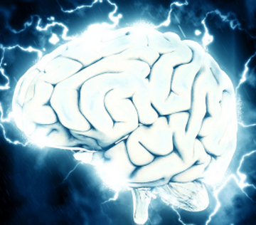 В КФУ разработали инновационный метод восстановления головного мозга