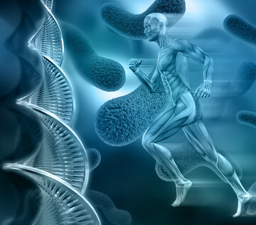 Российские ученые определили маркеры, указывающие на риск развития саркопении