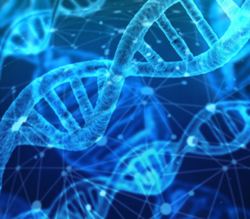 25 апреля – Международный День ДНК