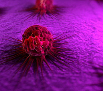 Раковые клетки могут чувствовать иммунологический надзор и активно адаптироваться