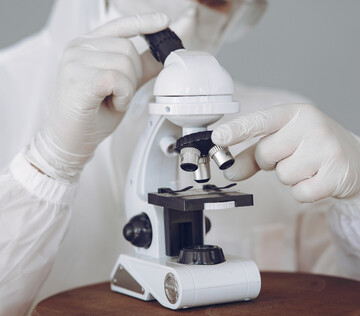 Российско-американское исследование расшифровало механизм защиты бактерий от инфекций