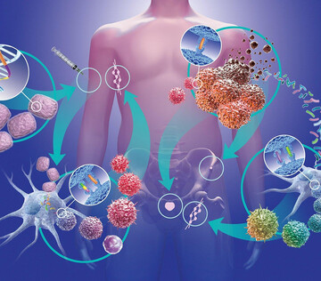 В РФ разработали ррограмму дизайна фрагментов ДНК для диагностики рака
