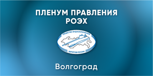 Выездной пленум Правления РОЭХ