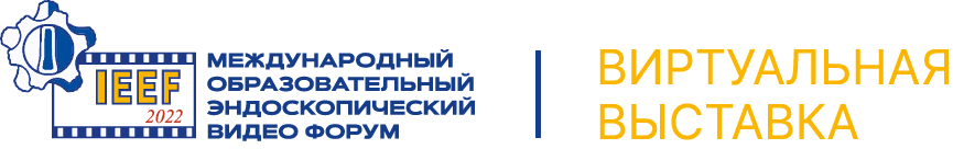 IEEF 2022