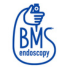 BMS endoscopy